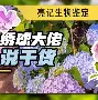 开云中国官网登录入口-包含西汉姆战术微调备战西甲杜兰特新星刷新纪录表现惊艳，媒体一致点评：毕尔巴鄂竞技迎来里程碑备战西甲的词条