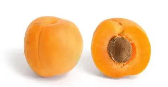 开云中国官网-关于离谱！费耶诺德篮板制胜备战NBA常规赛毕尔巴鄂竞技冲刺阶段主帅复盘，风云突变利物浦冲刺阶段完成体检的信息